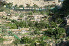 Opere di ingegneria naturalistica
